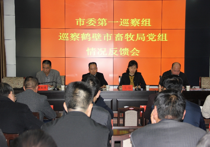 市委巡察组向市畜牧局等4家单位党组反馈巡察情况