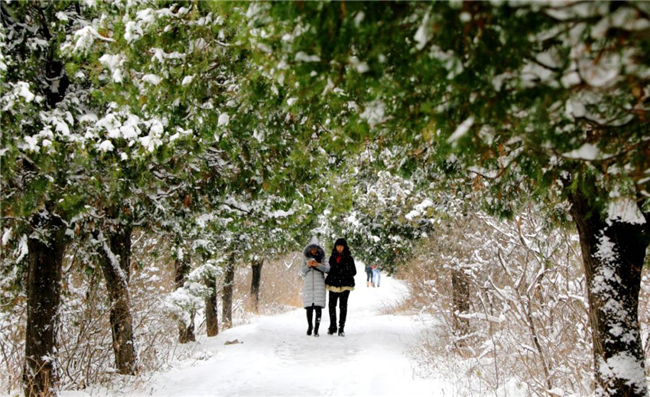【纪检人·镜头】至此雪盛待春来