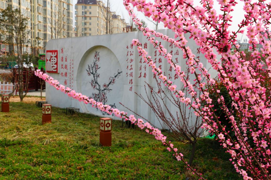 【纪检人.镜头】梅花香自苦寒来