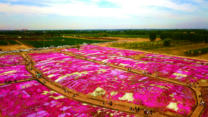 【纪检人·镜头】 正当谷雨弄晴时 一年弹指又春归