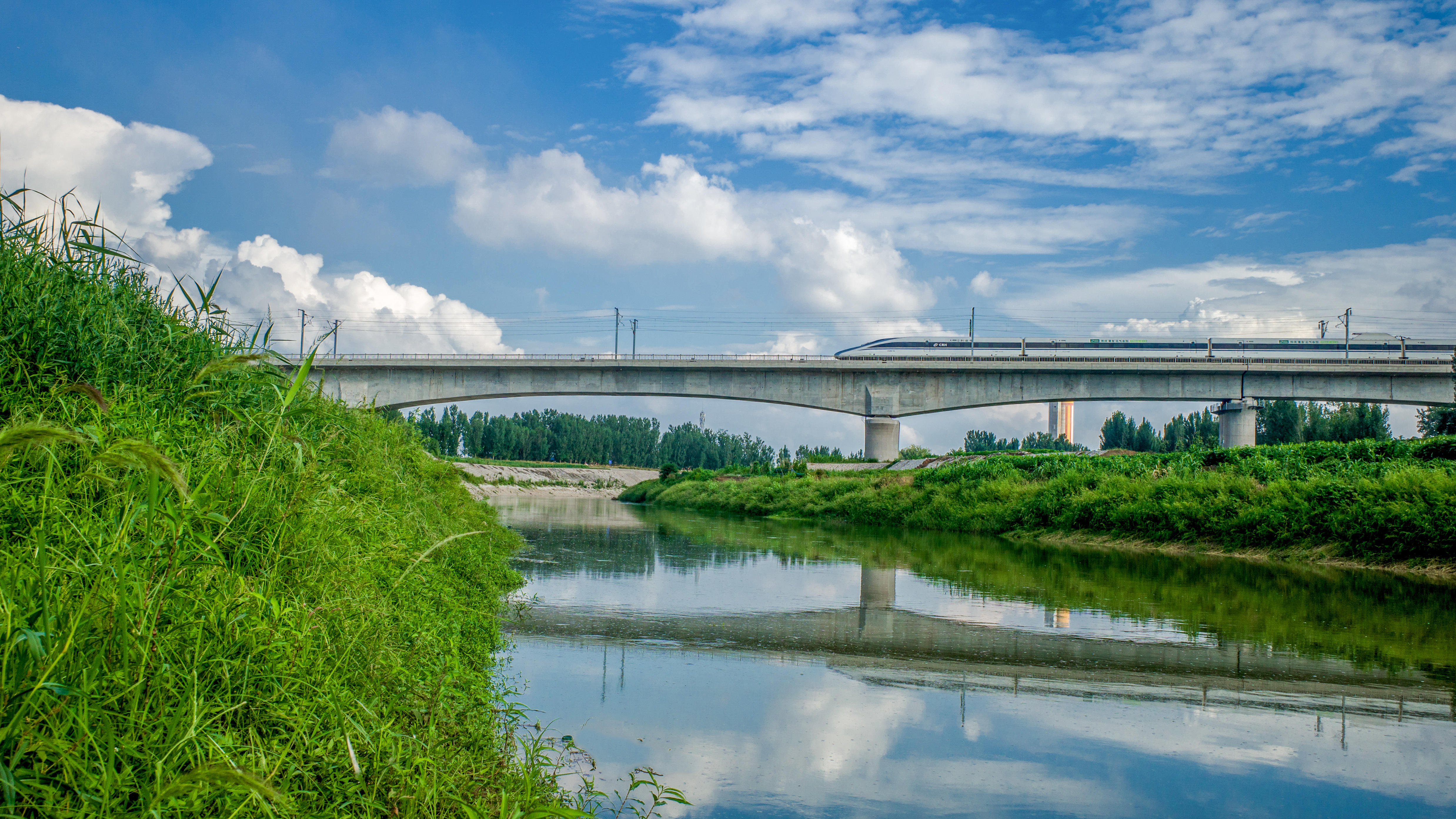 镜头丨天高云“清”赏鹤城