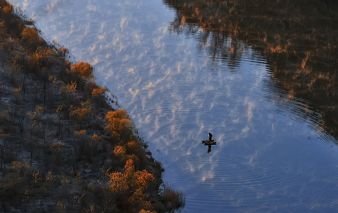 镜头丨大美十一月